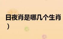 日夜肖是哪几个生肖（日肖和夜肖是哪几个肖）