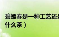 碧螺春是一种工艺还是一种茶（碧螺春是一种什么茶）