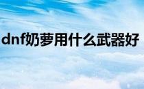 dnf奶萝用什么武器好（dnf奶罗用什么武器）