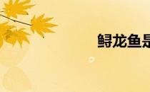 鲟龙鱼是什么鱼