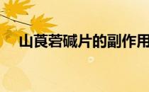 山莨菪碱片的副作用（山莨菪碱是什么）