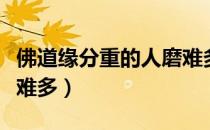 佛道缘分重的人磨难多（佛缘重的人为什么磨难多）