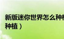 新版迷你世界怎么种桃树（迷你世界桃树如何种植）