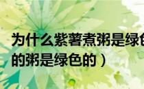 为什么紫薯煮粥是绿色的（为什么紫薯熬出来的粥是绿色的）