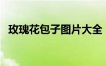 玫瑰花包子图片大全（玫瑰花包子的做法）