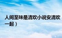 人间至味是清欢小说安清欢（人间至味是清欢安清欢跟谁在一起）