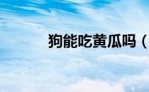 狗能吃黄瓜吗（狗能吃橘子吗）