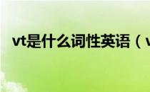 vt是什么词性英语（vt是什么词性的缩写）