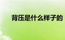 背压是什么样子的（背压是什么意思）