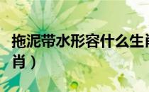 拖泥带水形容什么生肖（拖泥带水形容什么生肖）