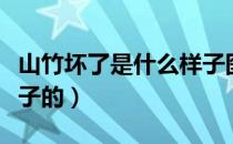 山竹坏了是什么样子图片（山竹坏了是什么样子的）