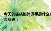 今天的砖头格外烫手是什么意思（今天的砖头格外烫手是什么意思）