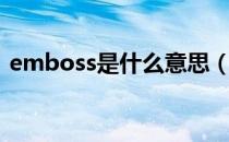 emboss是什么意思（Emboss是什么意思）
