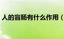 人的盲肠有什么作用（人的盲肠有什么作用）