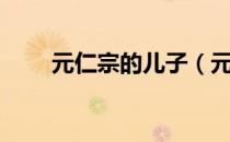 元仁宗的儿子（元仁宗叫什么名字）
