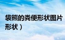 袋熊的粪便形状图片（澳洲袋熊的大便是什么形状）
