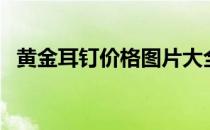 黄金耳钉价格图片大全（黄金耳钉怎么戴）