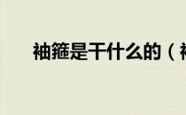 袖箍是干什么的（袖箍是干什么用的）
