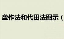 垄作法和代田法图示（垄作法和代田法区别）
