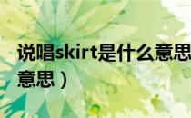 说唱skirt是什么意思（中国新说唱skr是什么意思）