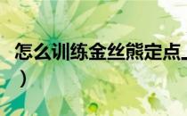 怎么训练金丝熊定点上厕所（怎么训练金丝熊）