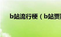 b站流行梗（b站贾斯汀布布是什么梗）
