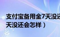 支付宝备用金7天没还（支付宝备用金过了七天没还会怎样）