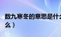 数九寒冬的意思是什么（数九寒冬的意思是什么）