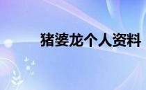 猪婆龙个人资料（猪婆龙是什么）