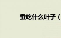 蚕吃什么叶子（蚕吃什么叶子）
