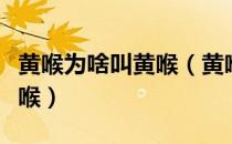 黄喉为啥叫黄喉（黄喉是什么部位为什么叫黄喉）