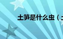 土笋是什么虫（土笋是什么东西）