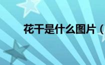花干是什么图片（花干是什么做的）