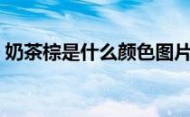 奶茶棕是什么颜色图片（奶茶棕是什么颜色）