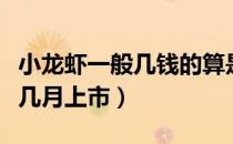小龙虾一般几钱的算是比较大了（小龙虾一般几月上市）