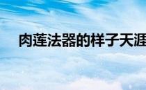 肉莲法器的样子天涯（肉莲法器是什么）