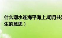 什么潮水连海平海上,明月共潮生（潮水连海平海上明月共潮生的意思）