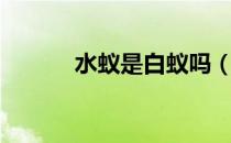 水蚁是白蚁吗（水蚁是白蚁吗）
