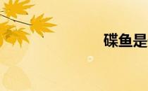 碟鱼是什么鱼