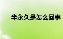 半永久是怎么回事（半永久是什么梗）