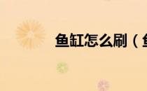 鱼缸怎么刷（鱼缸怎么增氧）