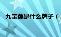 九宝莲是什么牌子（JBL是什么品牌音响）