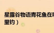 星露谷物语青花鱼在哪（星露谷物语青花鱼哪里钓）