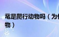 鼋是爬行动物吗（为什么说鼋是一种珍贵的动物）