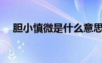 胆小慎微是什么意思（慎微是什么意思）