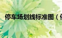 停车场划线标准图（停车场划线标准尺寸）