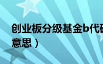 创业板分级基金b代码（创业板b分级是什么意思）