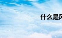 什么是风味酸奶