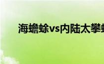 海蟾蜍vs内陆太攀蛇（海蟾蜍的特点）