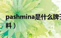 pashmina是什么牌子（pashmina是什么面料）